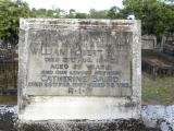 image of grave number 370546
